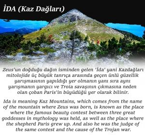 ida